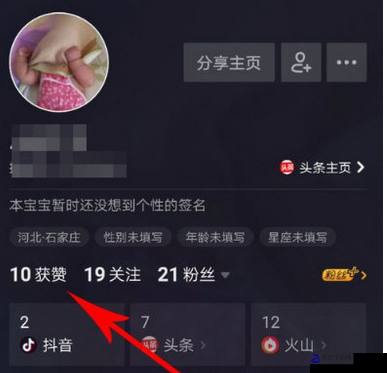 抖音点赞加评论辅助工具怎么弄，揭秘网络热门辅助工具背后的秘密